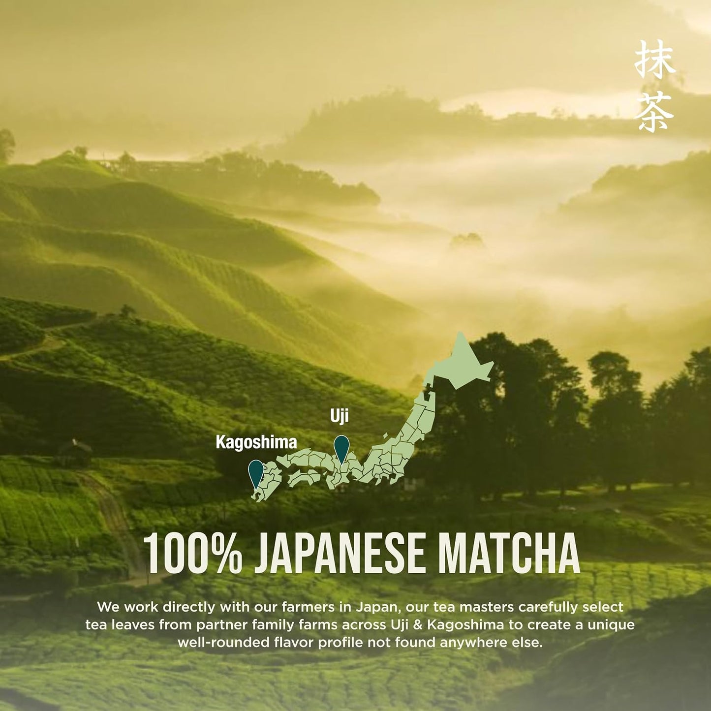 Jade Leaf Ceremonial Grade Matcha Powder, 50g / 1.76oz | Best for Matcha Lattes, Warm or Iced - Authentic Japanese Matcha Green Tea Powder from Uji &amp; Kagoshima - Resealable Pouch