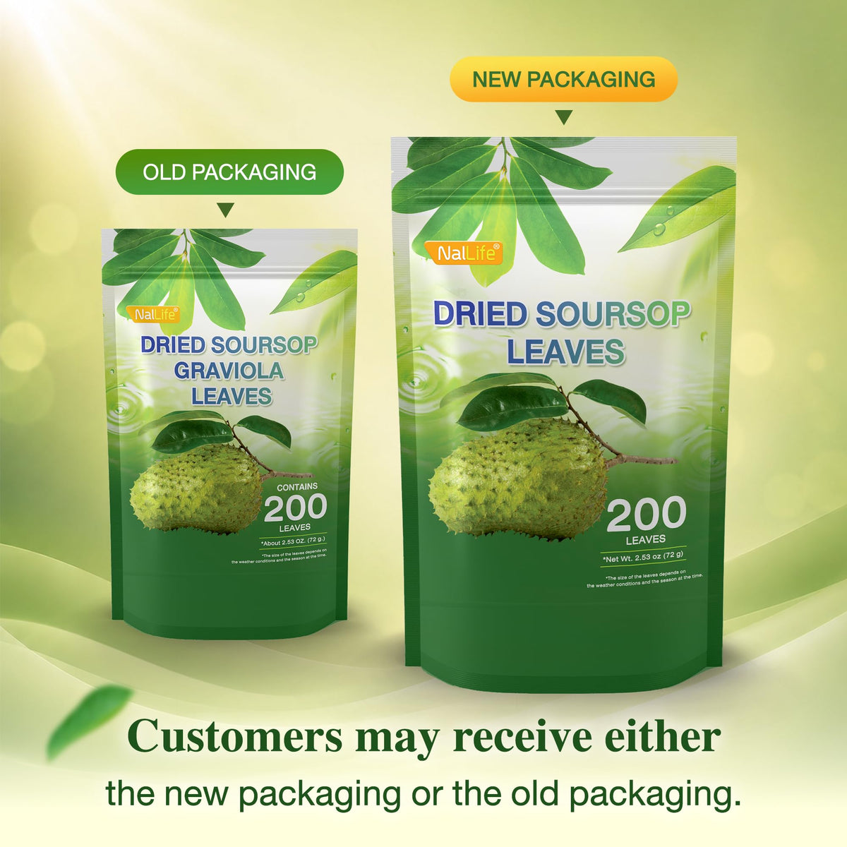 NalLife Soursop Leaves Tea - 200 Dried Leaves for Tea