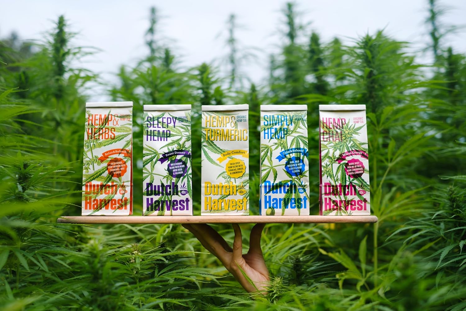 Dutch Harvest Organic Hemp Tea Variety Pack – 5 Flavors – 5 Pouches of Loose-Leaf Herbal Tea – 5 x 40 Cups – Caffeine-Free, Vegan, Biodegradable Packaging