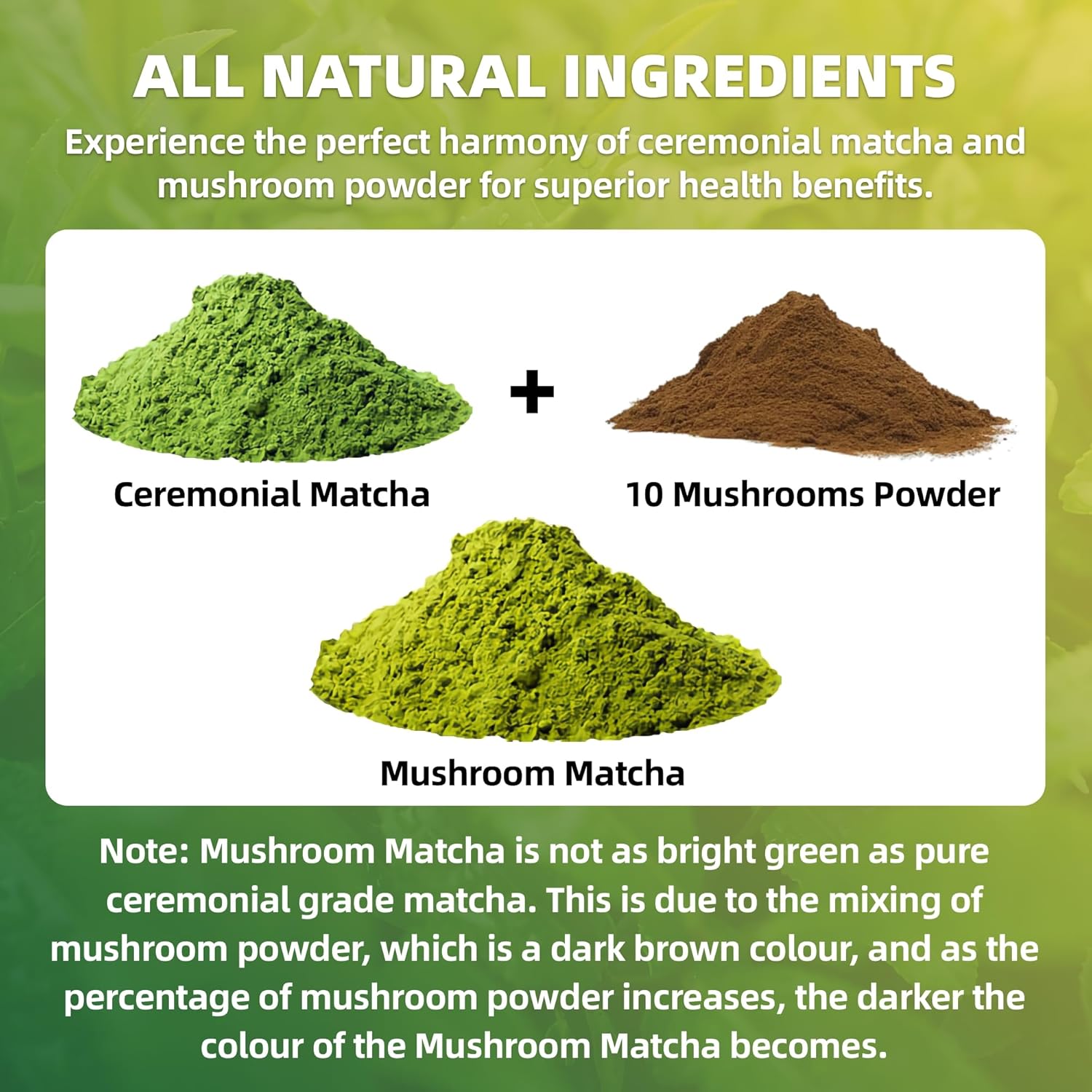 Mushroom Matcha, 10 Superfood Mushroom Powder Blend with Japanese Ceremonial Grade Matcha, Mushroom Coffee Alternative for Energy, Focus, Immunity