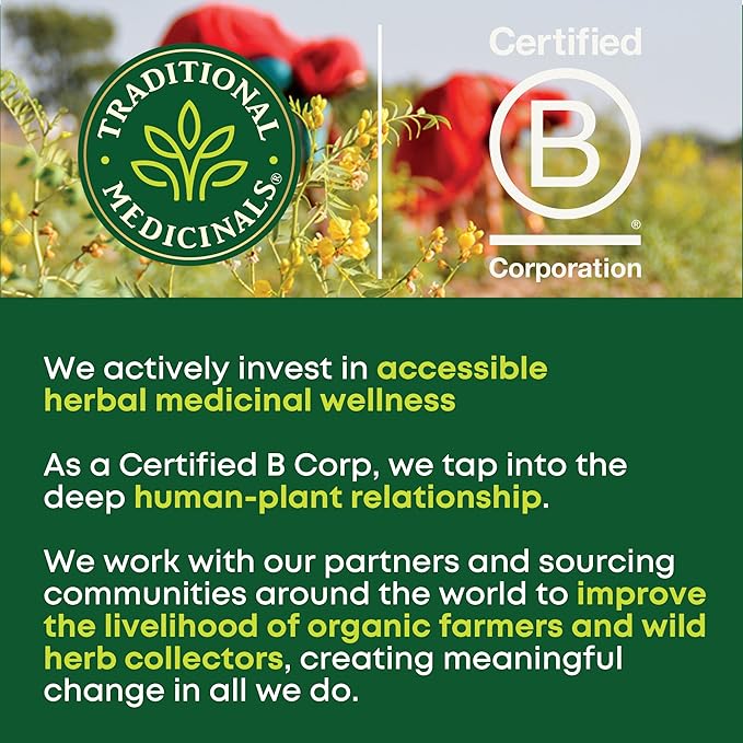 Traditional Medicinals Tea, Organic Throat Coat Lemon Echinacea, Supports Throat Health & Immune Fuction, 96 Tea Bags (6 Pack)