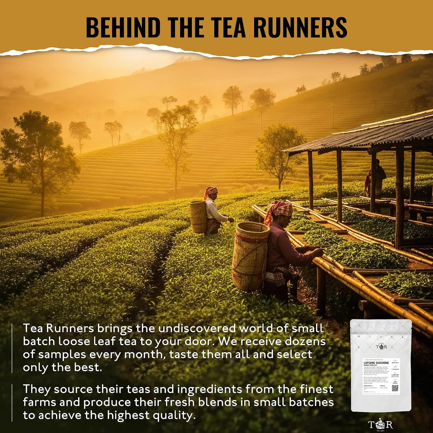 Tea Runners Lapsang Souchong Organic Whole Leaf Black Tea – Small Batch, Smoked Over Pinewood for Bold, Complex Flavor – Premium Fujian China Loose Leaf Tea, High Caffeine - 5 oz