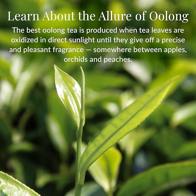 The Republic of Tea — Double Milk Oolong Tea Bulk Bag, 250 Tea Bags, Naturally Caffeinated