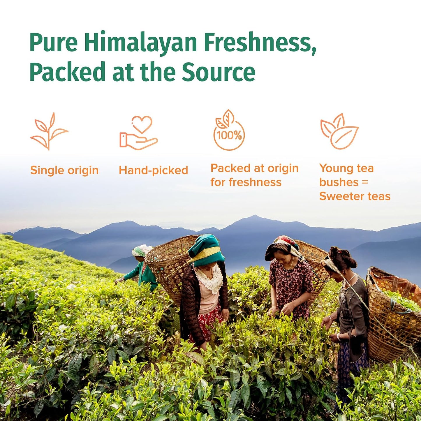 NEPAL TEA Organic Chai Tea Bags from the Himalayas, Chai Spice Blend - 15 Pyramid Tea Bags, Single Origin Chai Spice Tea - Black Tea Bags, Loose Leaf Tea Inside (Nepali Breakfast), 6 Pack