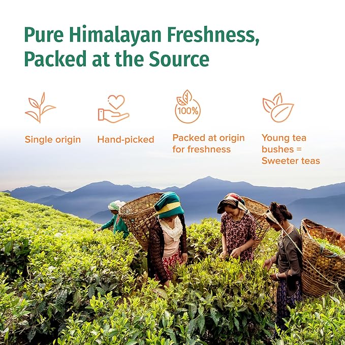 Nepal TEA Organic Chai Tea Bags from the Himalayas, Chai Spice Blend - 15 Pyramid Tea Bags, Single Origin Chai Spice Tea - Black Tea Bags
