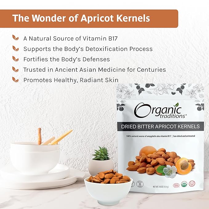 Organic Traditions Sundried Apricot Kernels – Sweet & Bitter Raw Seeds, 16oz