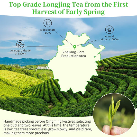 XIXICHA Longjing Green Tea Loose Leaf New Longjing Tea Dragon Well Dragonwell Tea Chinese Green Tea Lung Ching Premium Bean Aromatic All-natural and free of additives 4.23oz/120g（96 cups）龙井 绿茶 明前采摘