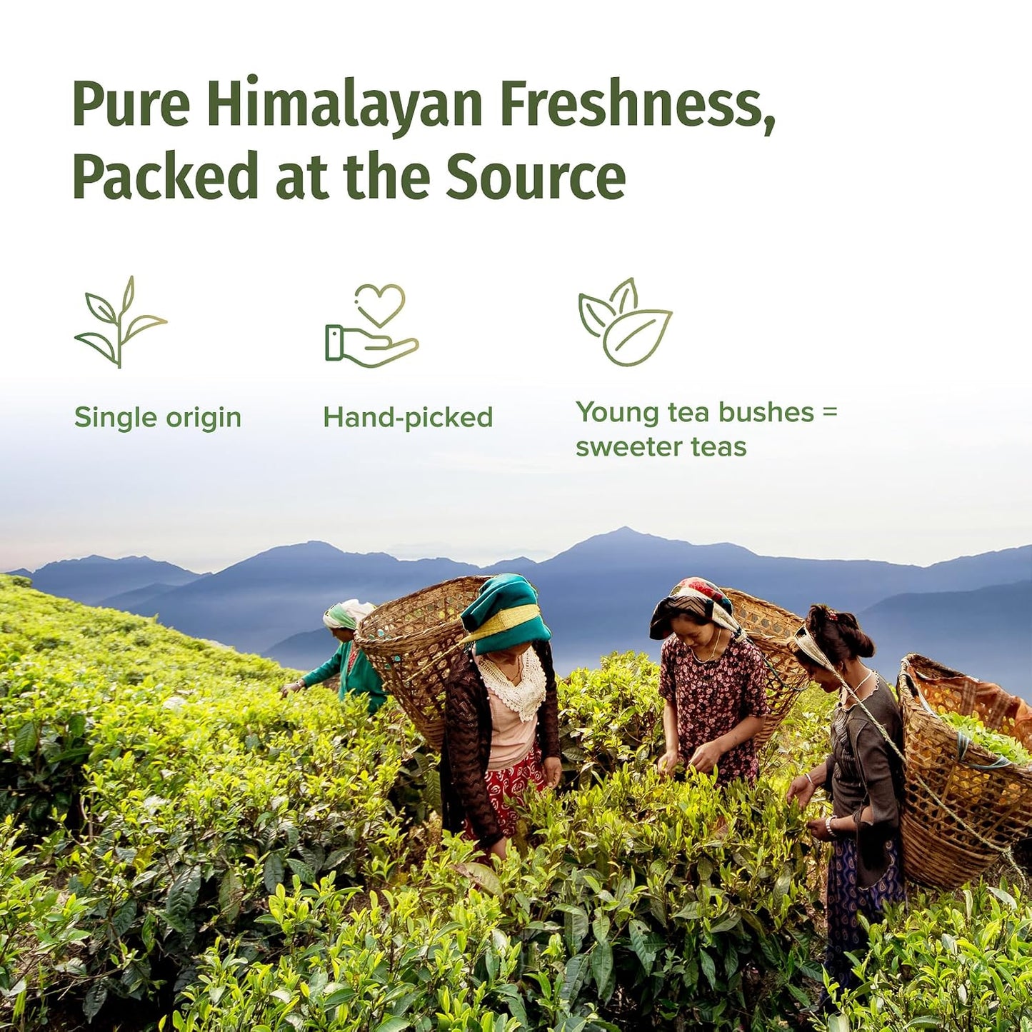 NEPAL TEA Organic Black Tea Loose Leaf - Certified Organic Premium Loose Leaf Black Tea - Single Origin from a Family Farm in the Himalayas - 3.5 Oz/100g (Himalayan Sunrise)