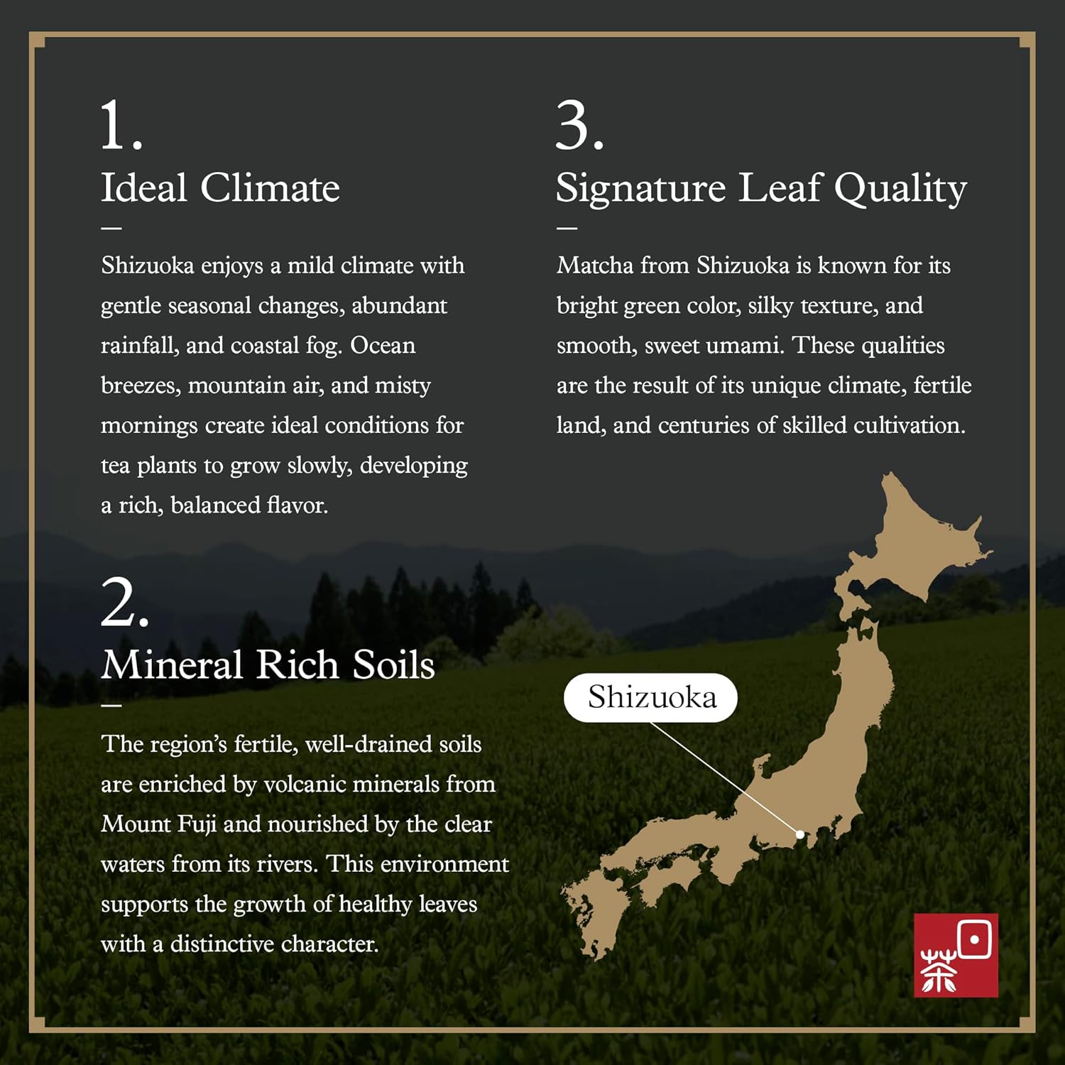 Ocha & Co. Shizuoka Organic Matcha - Ceremonial Grade - ECO JAS Organic Certified - Japanese First-Harvest Matcha Green Tea Powder, Traditionally Stone-Milled, 100g.