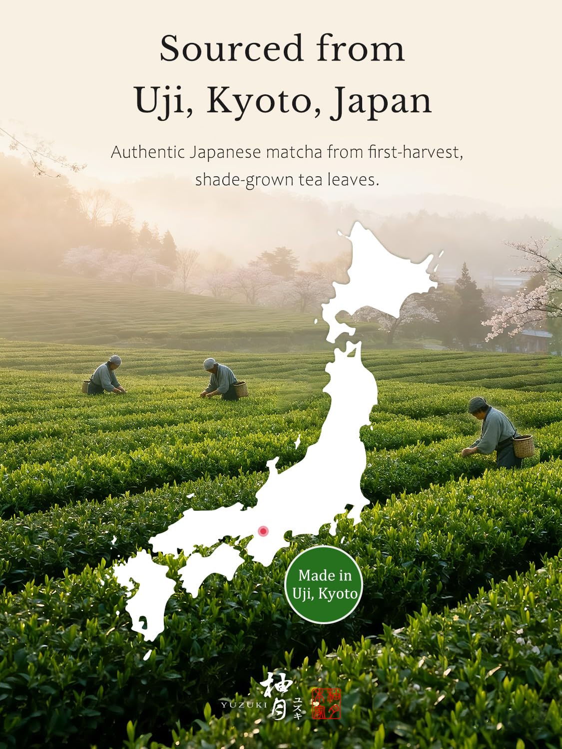 YUZUKI Matcha Powder 40g - Japanese Ceremonial Grade Matcha Green Tea Powder - First Harvest - Product of Japan, Uji Kyoto - Zero Sugar - USDA and JAS Certified (1.4 oz）