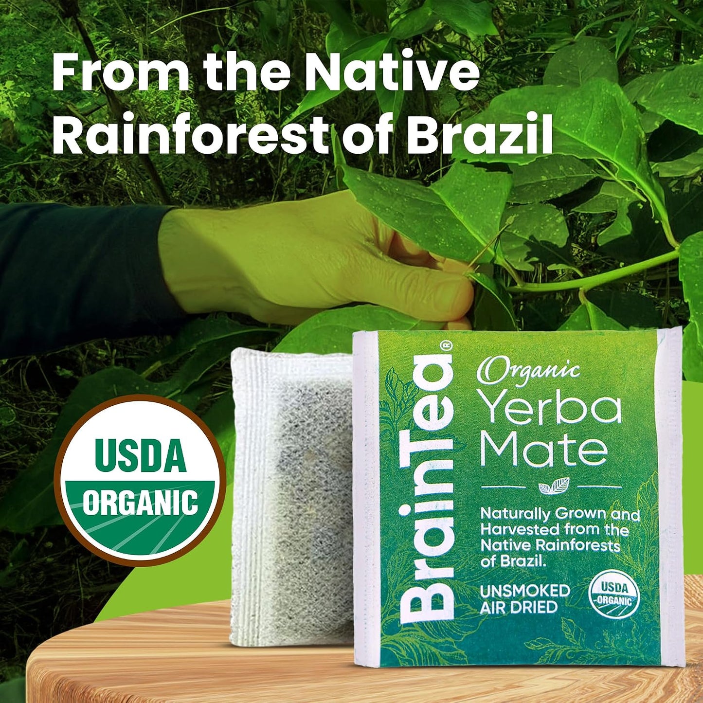 Yerba Mate Tea Organic - Brain Tea Organic Yerba Mate Tea bags 50 count - Native Rainforest Sourced, Unsmoked &amp; Air-Dried, High Caffeine Matte Tea - 100g