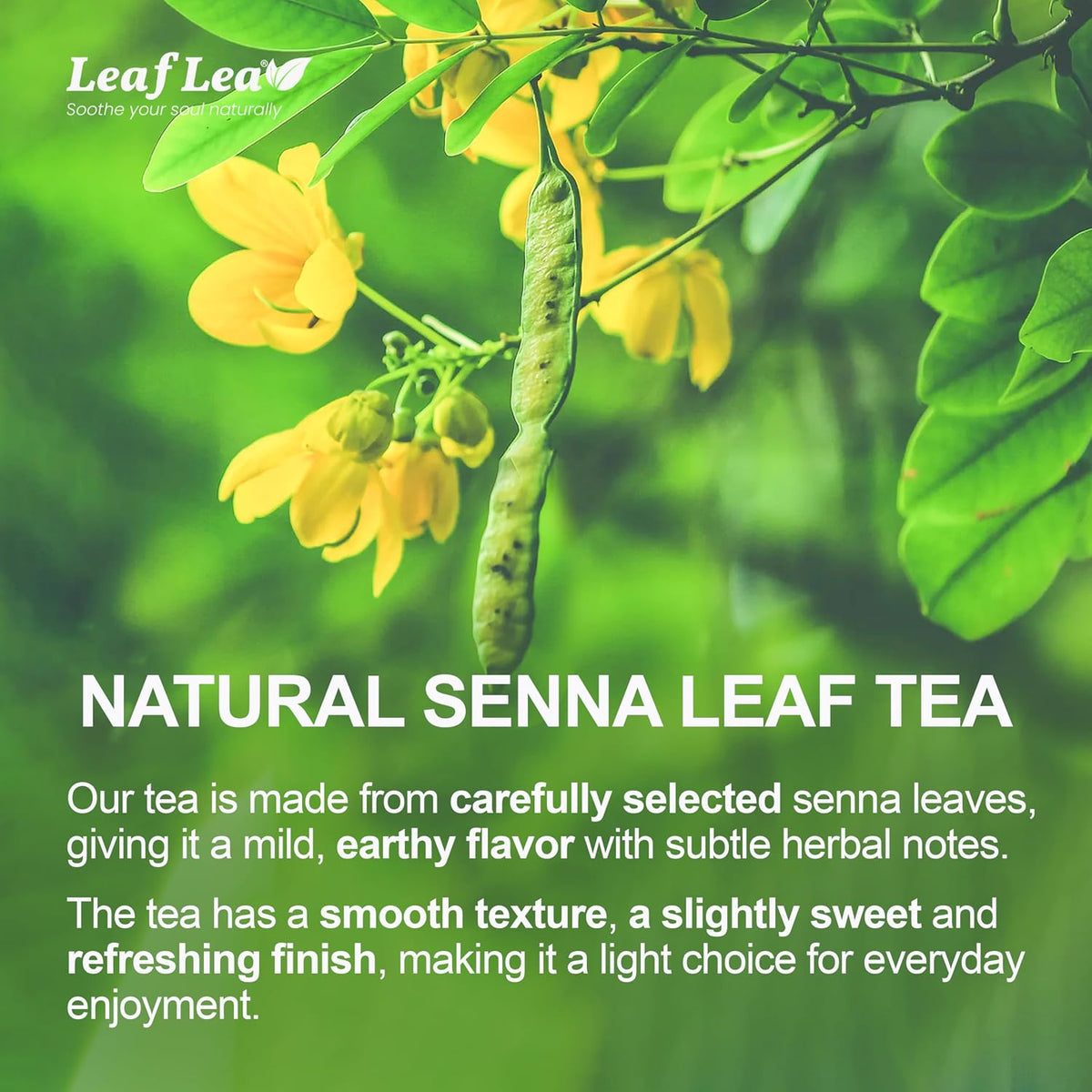 LeafLea Senna Leaf Tea Bags