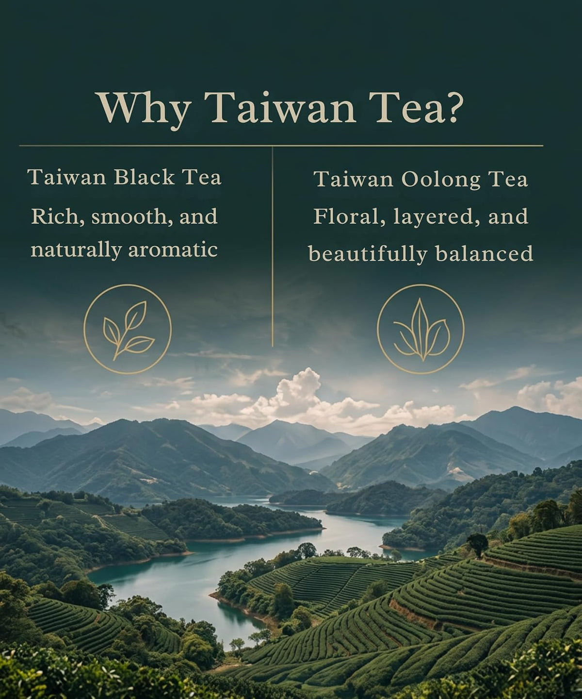 EZR LEAF Taiwan Tea Rituals – Premium Taiwan Tea Variety Pack, Taiwan Black Tea & Oolong Tea Collection, Four Seasons Oolong