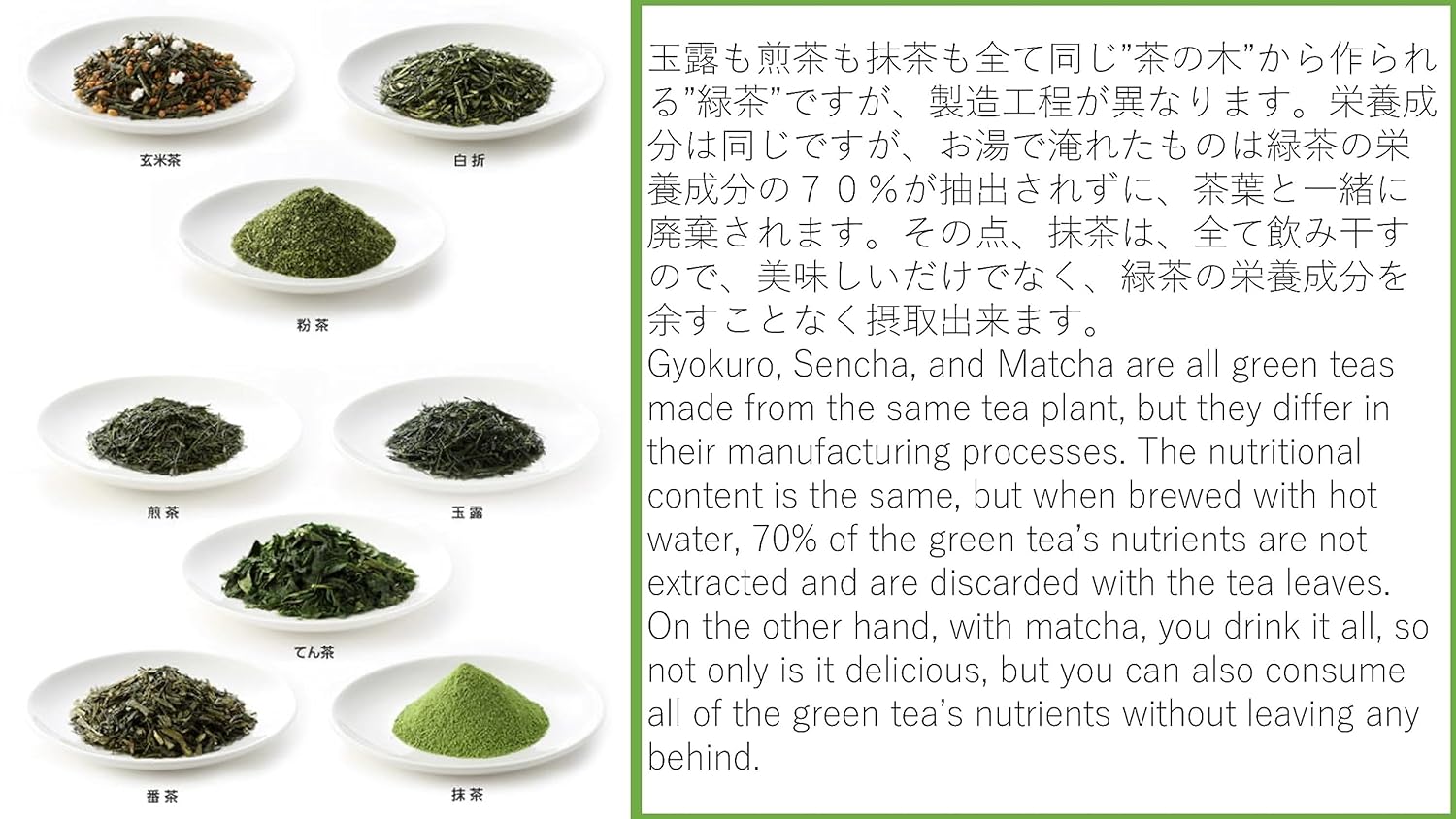 八女茶 Brand [Japanese Gyokuro Green Tea Bags] Crystal 100% Yamecha Japanese Gyokuro Green Tea Bags