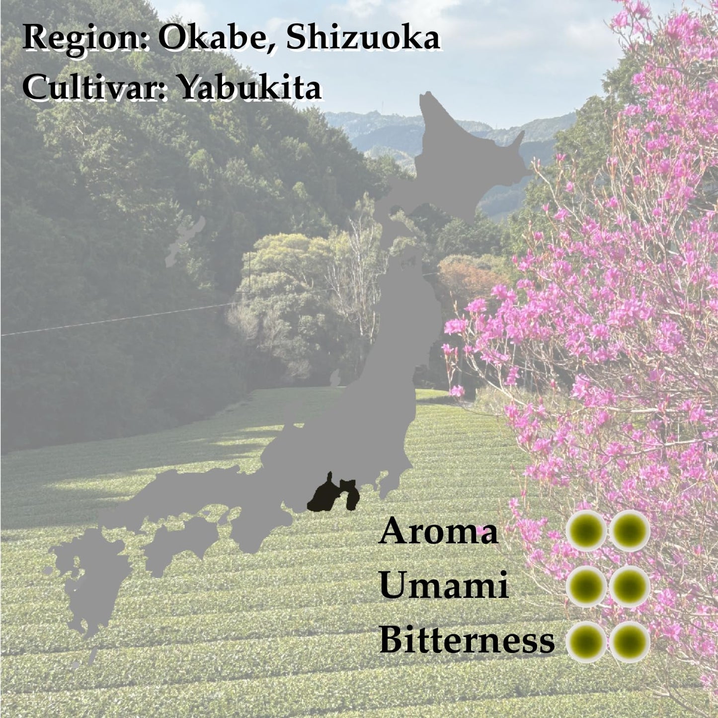 NAGOMI Organic Fukamushi Sencha - Loose Leaf Japanese Deep Steamed Green Tea, 70g/2.47oz.