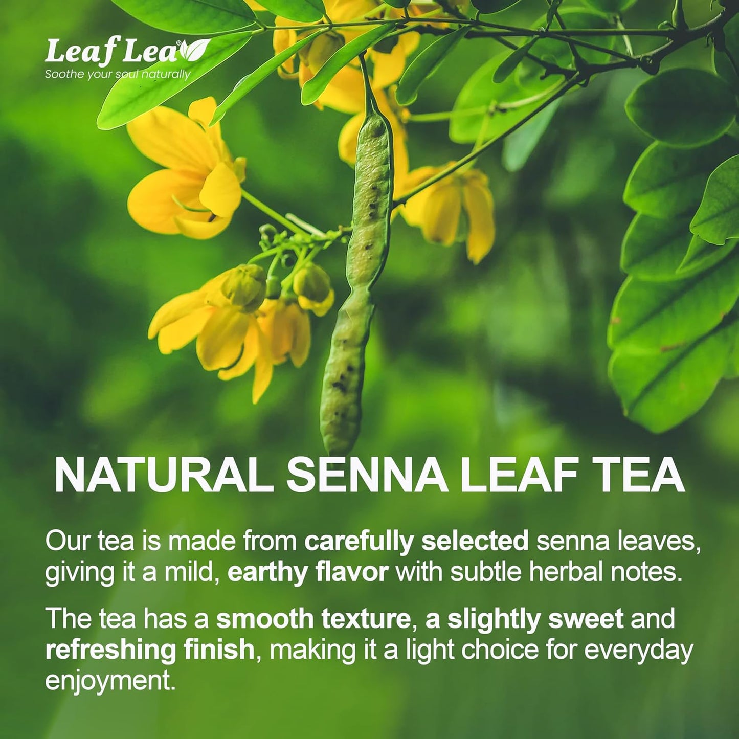 LeafLea Senna Tea Bags, Natural Laxative for Occasional Constipation, 80 Ct