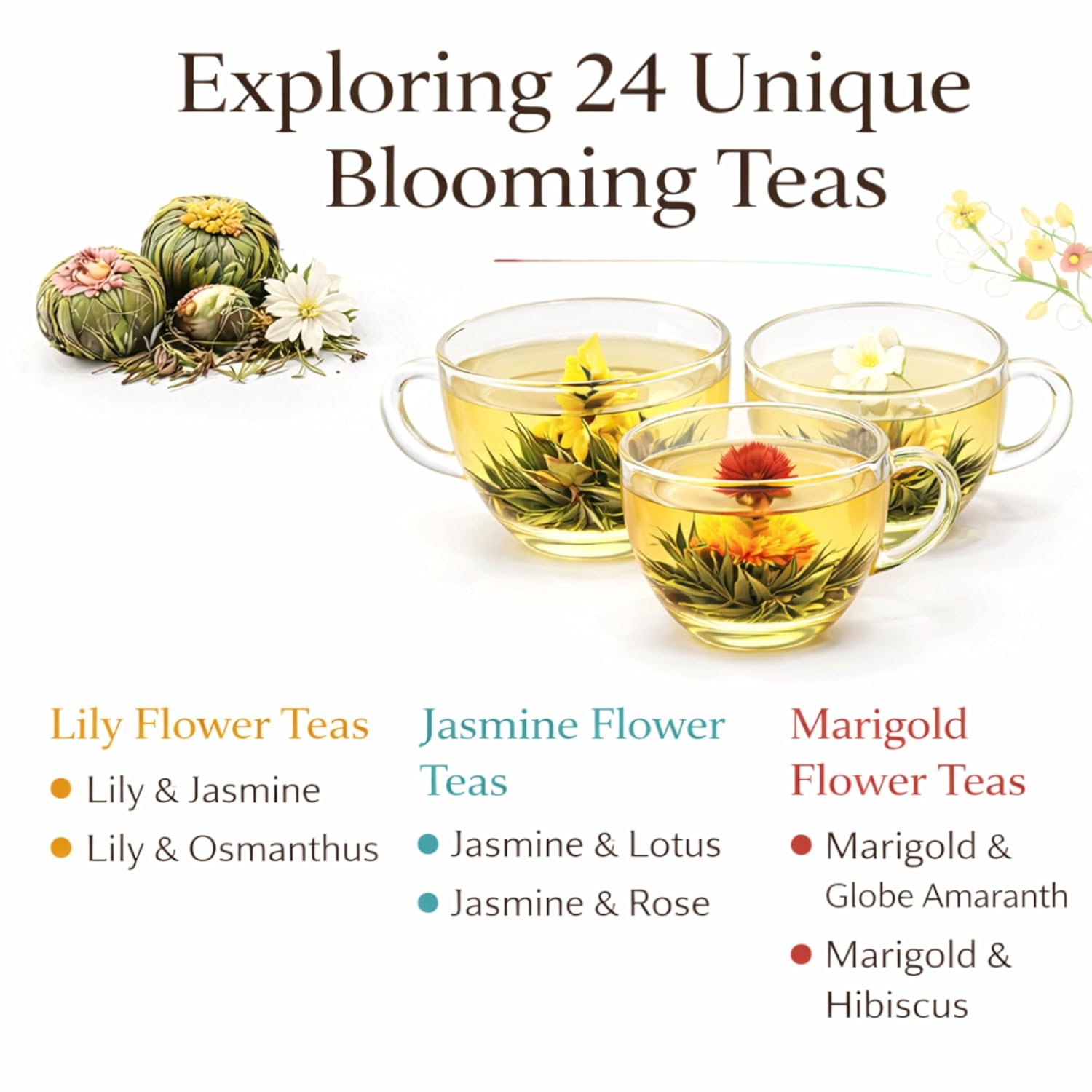 Blooming Tea & Edible Flower Infusions, Green Tea, 24 Unique Flavors Gift Set for Everyone – Natural, Floral & Aromatic Teas in Extra Large Premium Gift Box
