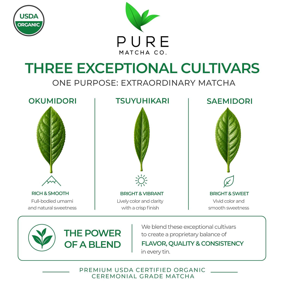 Pure Matcha Co | Premium Ceremonial Grade Matcha Green Tea Powder | Authentic Japanese Origin | Sugar Free | 30g, 1.06oz