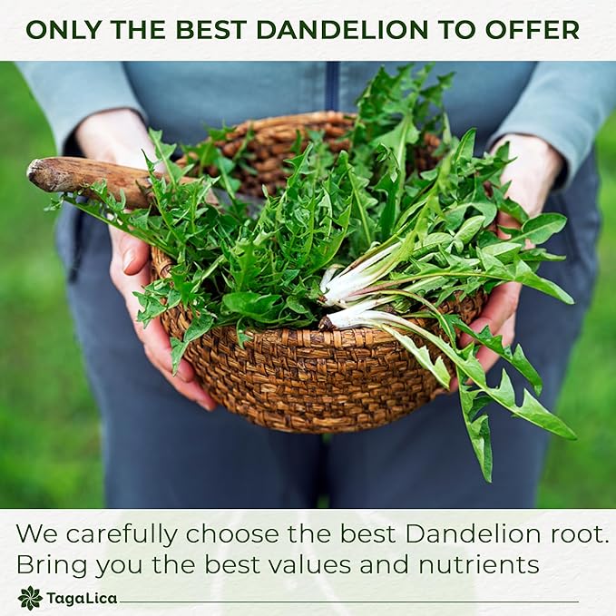 TagalicaTa Premium 55 Dandelion Root Tea Bags, 100% Natural & Pure from Dandelion Root, Eco-Conscious Tea Bags, Herbal Tea. No Sugar, No Caffeine
