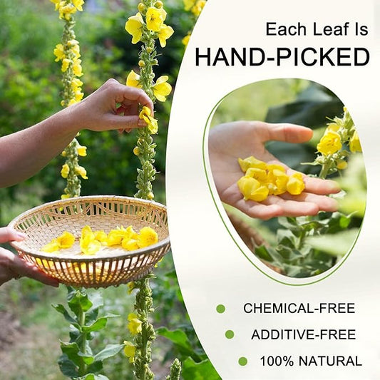 Organic Mullein Leaf Tea, 20 Tea Bags