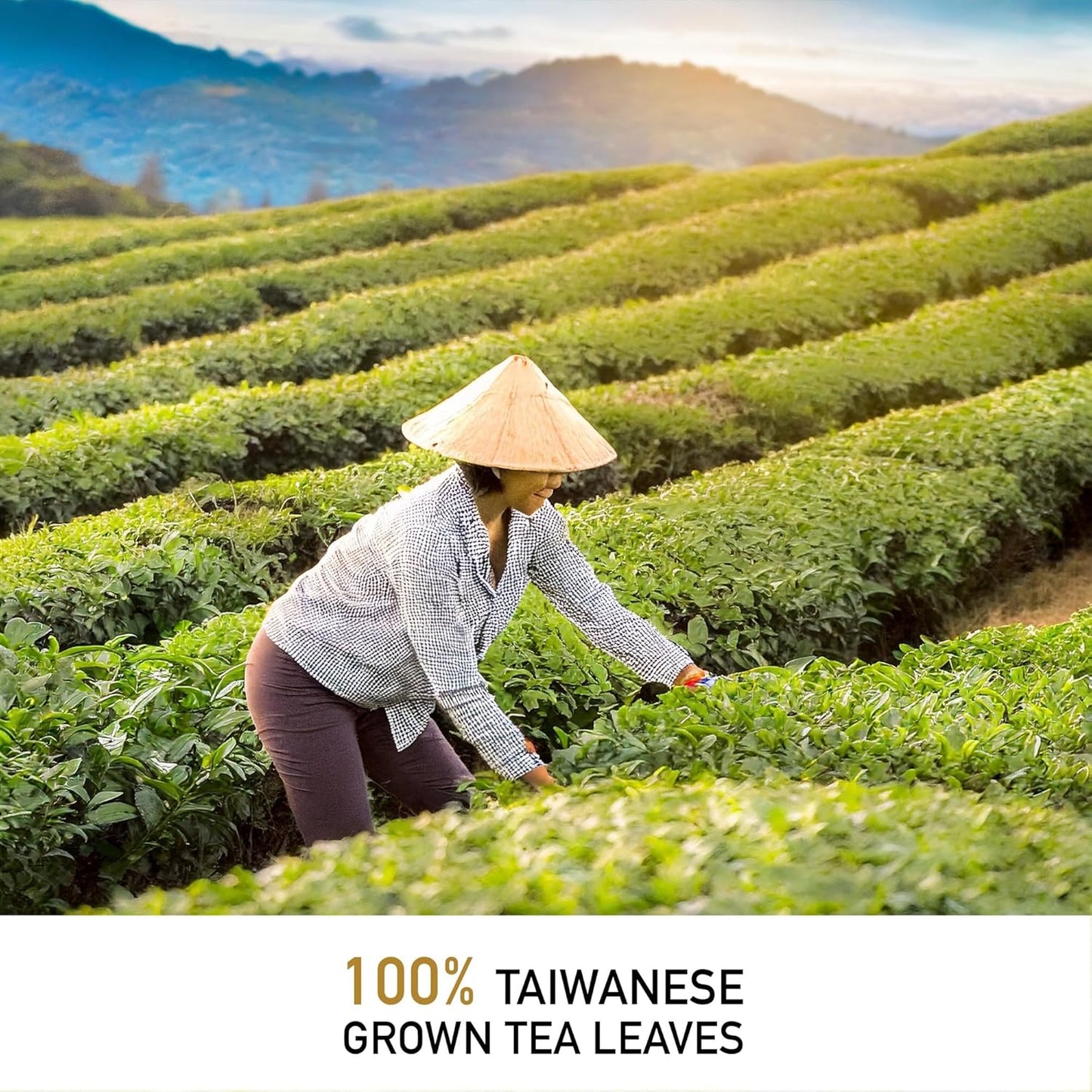 Leafmessage Natural Artisan Tea - Formosa Oolong 福爾摩沙烏龍 フォルモサ ウーロン(100g/3.5oz)