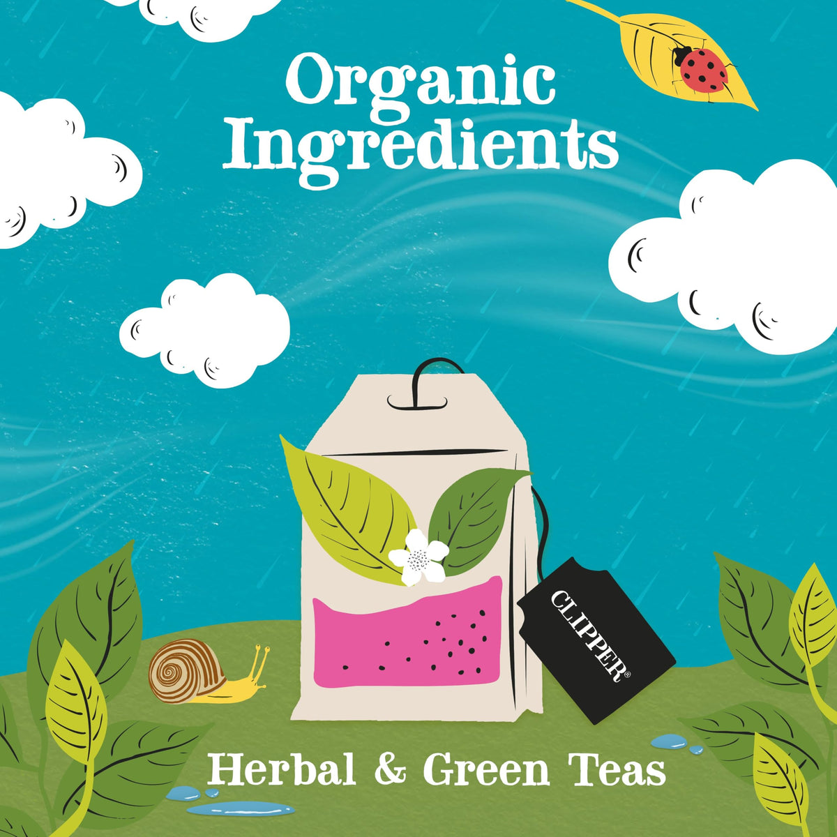 Clipper Tea Clipper Organic Herbal & Green Tea Sampler Box, 45 Tea Bags