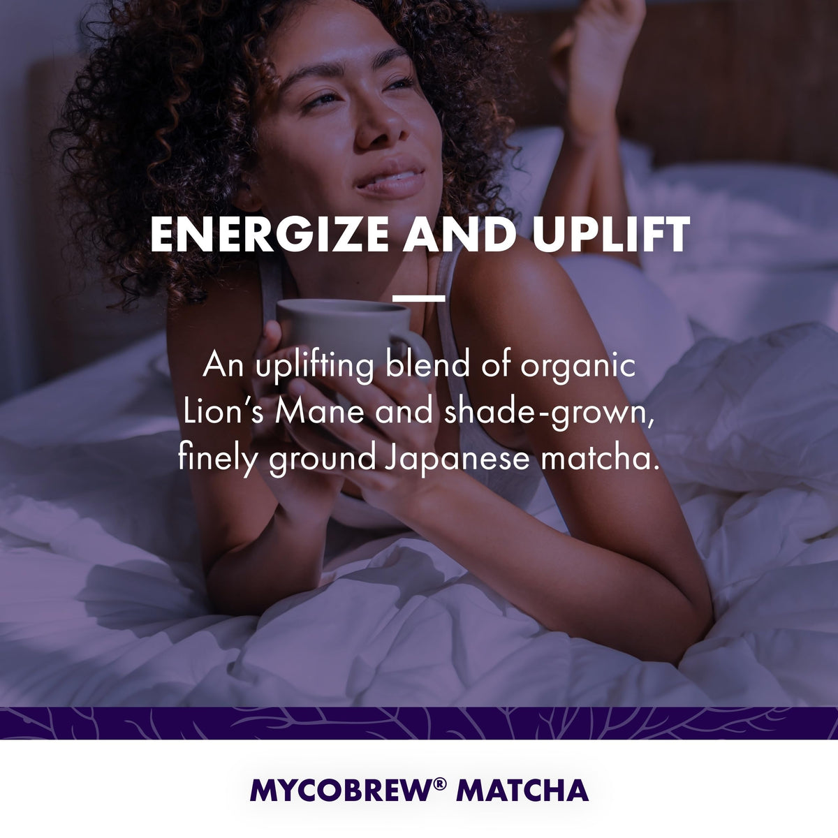 Host Defense MycoBrew Matcha, Lion's Mane Instant Coffee, 10 Packets