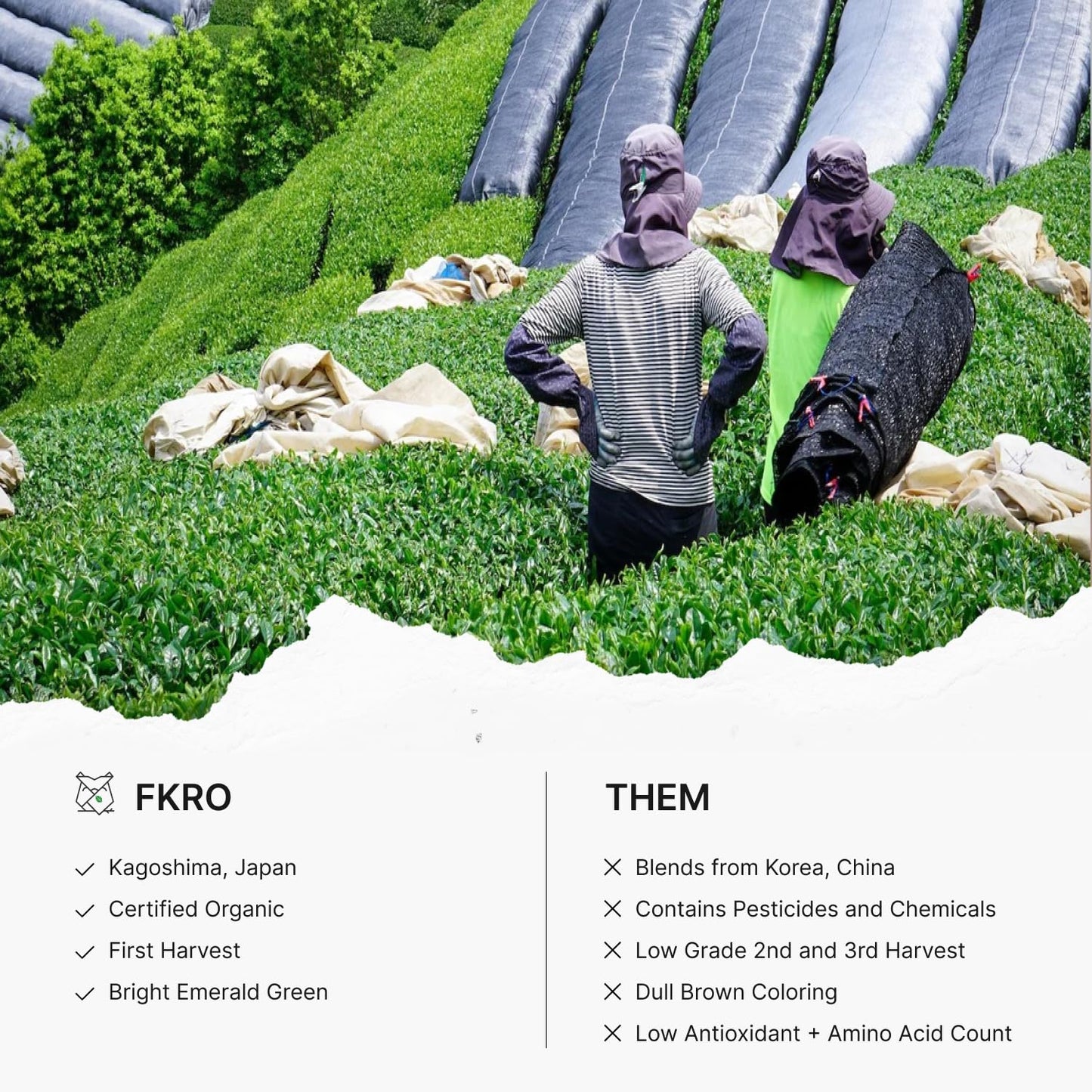 FKRO Tea Master's Organic Ceremonial Grade Matcha Green Tea Powder | Artisan Selected 1st Harvest | Stone-Ground, Air-Flown Monthly from Japan | 30g Tin