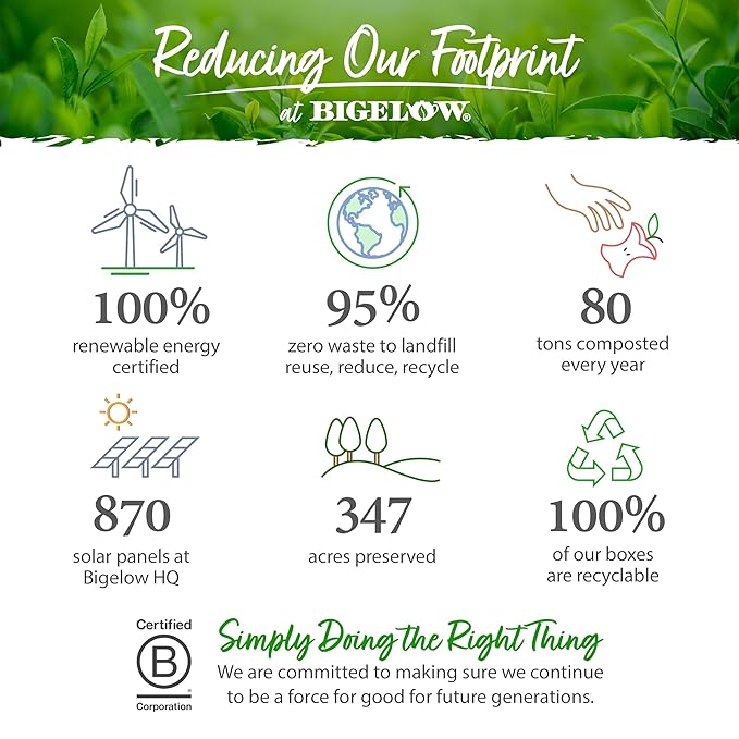 Bigelow Tea Earl Grey Black Tea, Caffeinated Tea, 100 Count Box (Pack of 1)