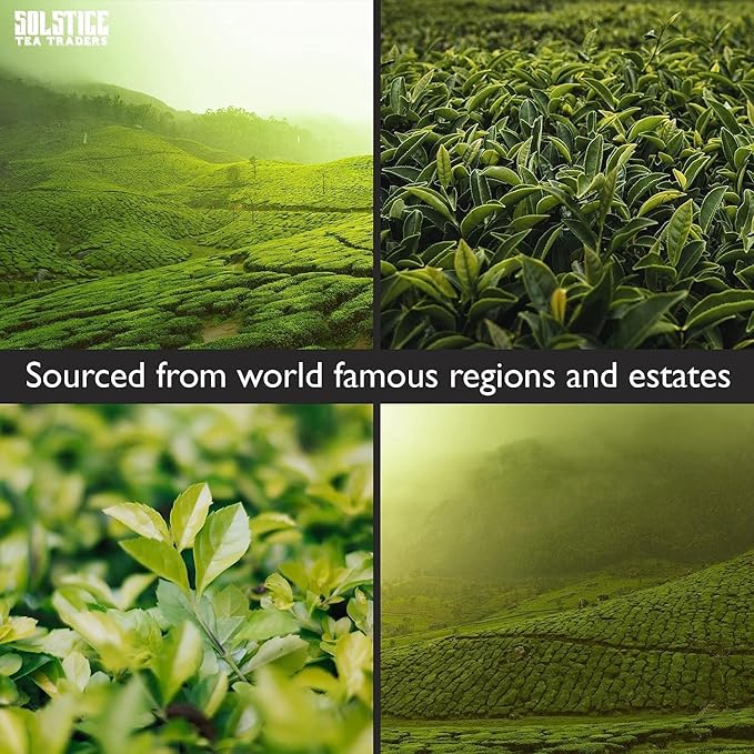 Solstice Loose Leaf Sencha Green Tea, 1 LB, Bulk 16-Ounces Japanese Style Green Sencha Tea - Approx 200+ Cups