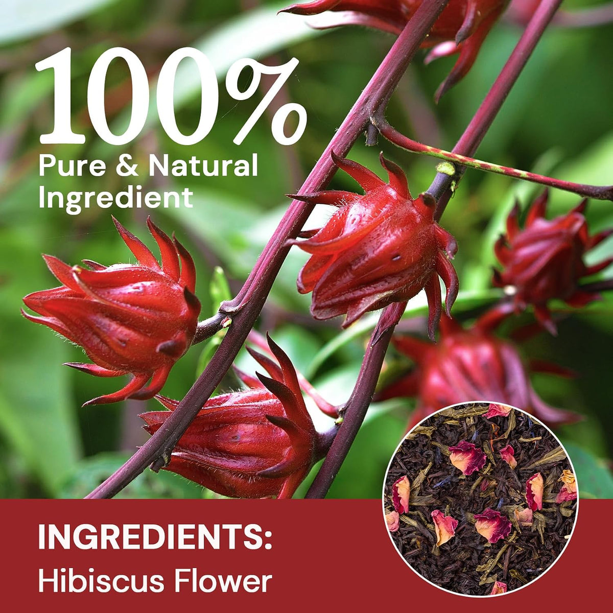 Hibiscus Tea Bags