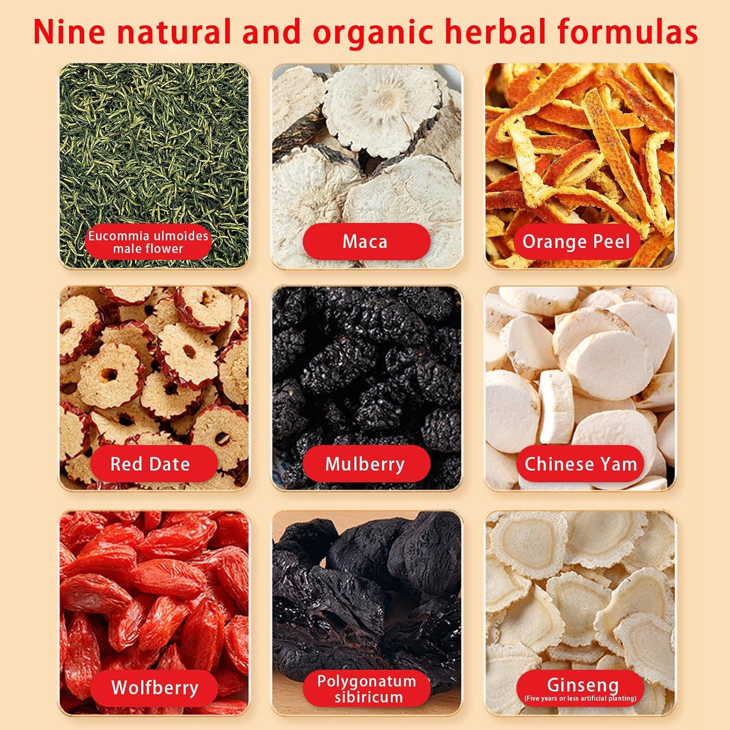 Kidney Tea - Ginseng and Wolfberry Tea, Ginseng Nine Treasure Tea, Men's Health Tea Herbal 9 Precious Ingredients Formula, Natural Organic Kidney Cleanse Detox Tea for Women &amp; Men (2Bag(24pcs))