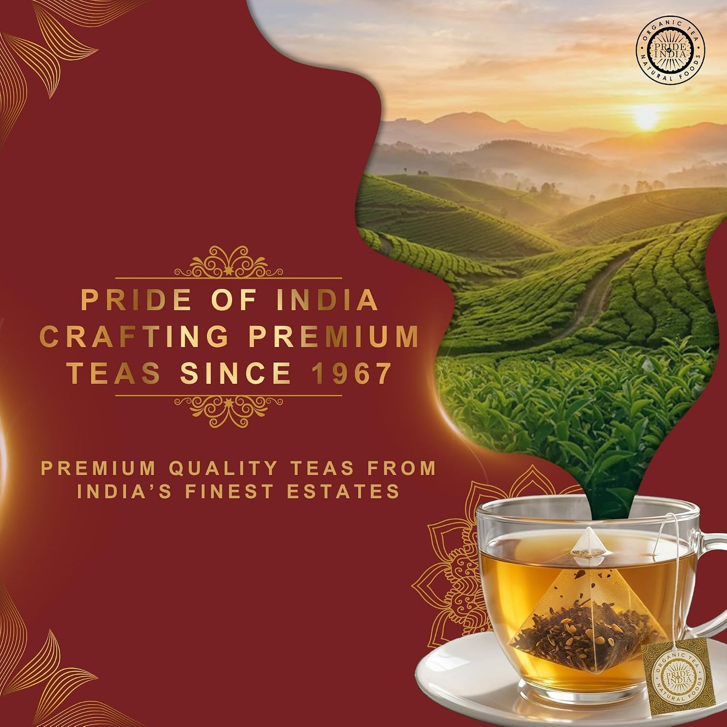 Pride of India Jasmine Rose Floral White Tea – 90 Pyramid Tea Bags (6 PACK) | Individually Wrapped Full Leaf White Tea with Rose &amp; Jasmine | Sweet Flavor Low Caffeine Tea for Smooth Calming Experience