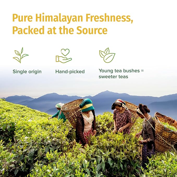 Nepal TEA Organic Herbal Chai Tea Bags from the Himalayas - 15 Pyramid Tea Bags, Single Origin Chai Tea from a Family Farm