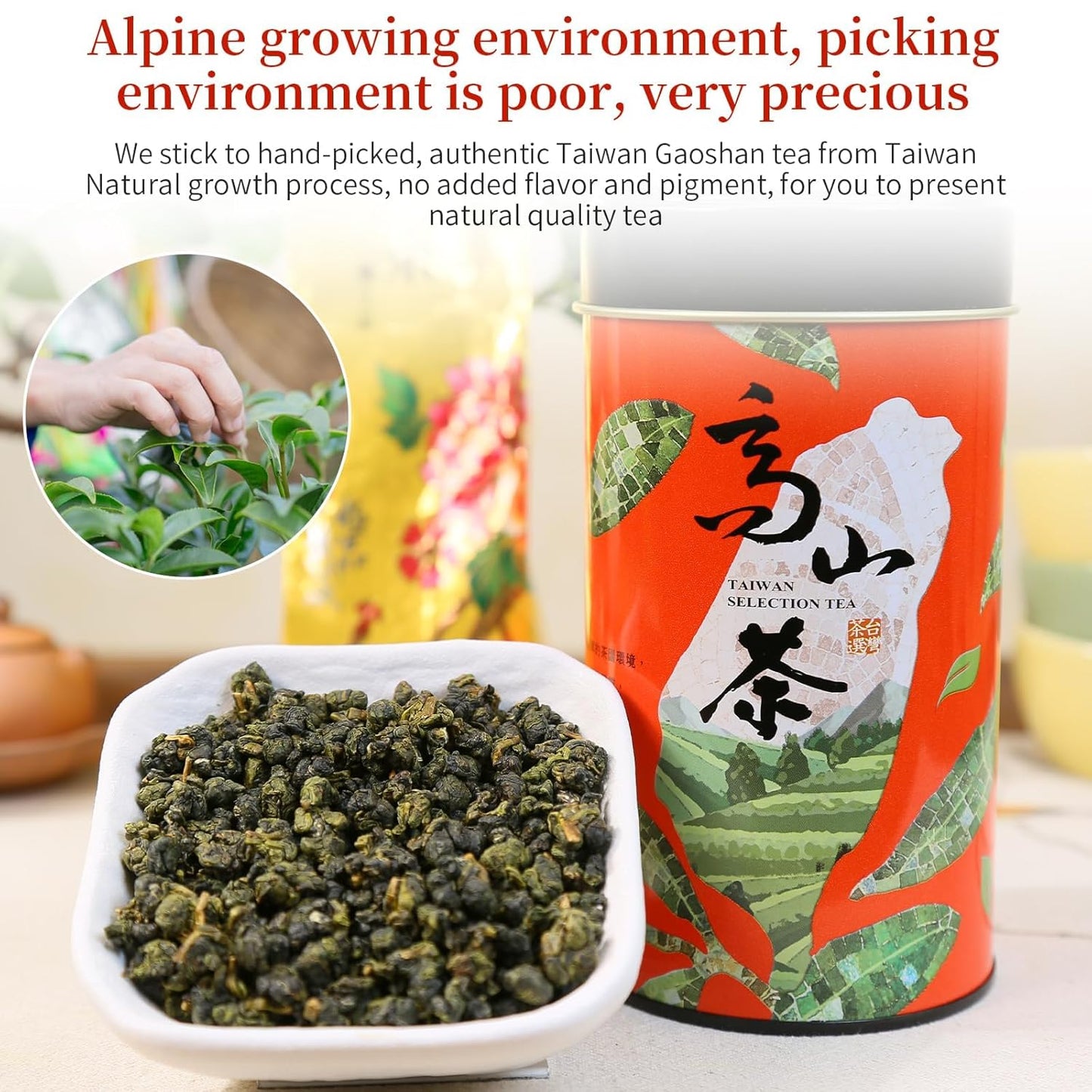 XIXICHA High Mountain Tea Oolong Tea Loose Leaf Grade AAA Taiwan Tea Formosa Oolong Taiwan Oolong Tea Taiwaness Gaoshan OolongTea 高山茶 高山乌龙茶 台湾茶 茶叶 5.3oz/150g