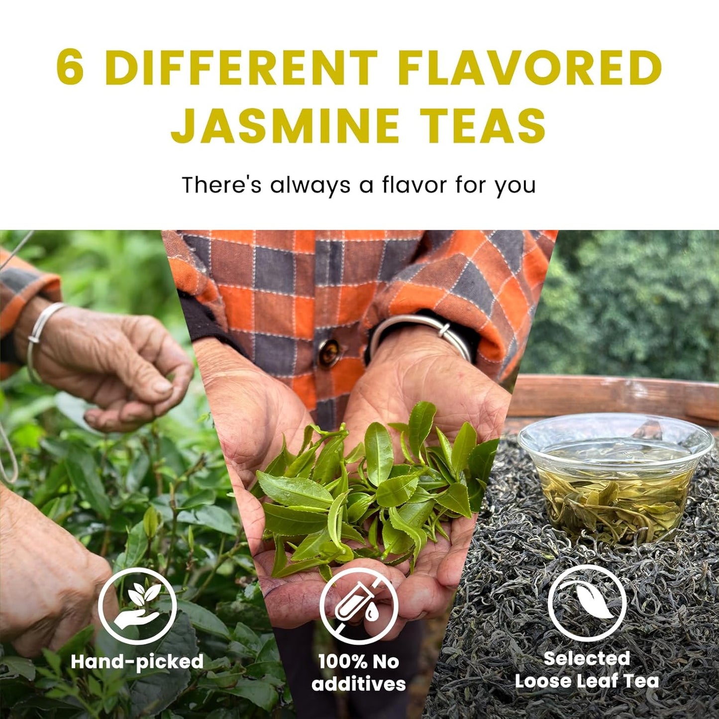 iTeaworld 6 Different Jasmine Tea Sampler, Jasmine Loose Leaf Tea(Including Jasmine Green Tea, Jasmine Oolong Tea, Jasmine LiuBao Tea ect.), No Sugar and Additive, Nice Tea Bags Variety Pack Gift Set(3.17oz)