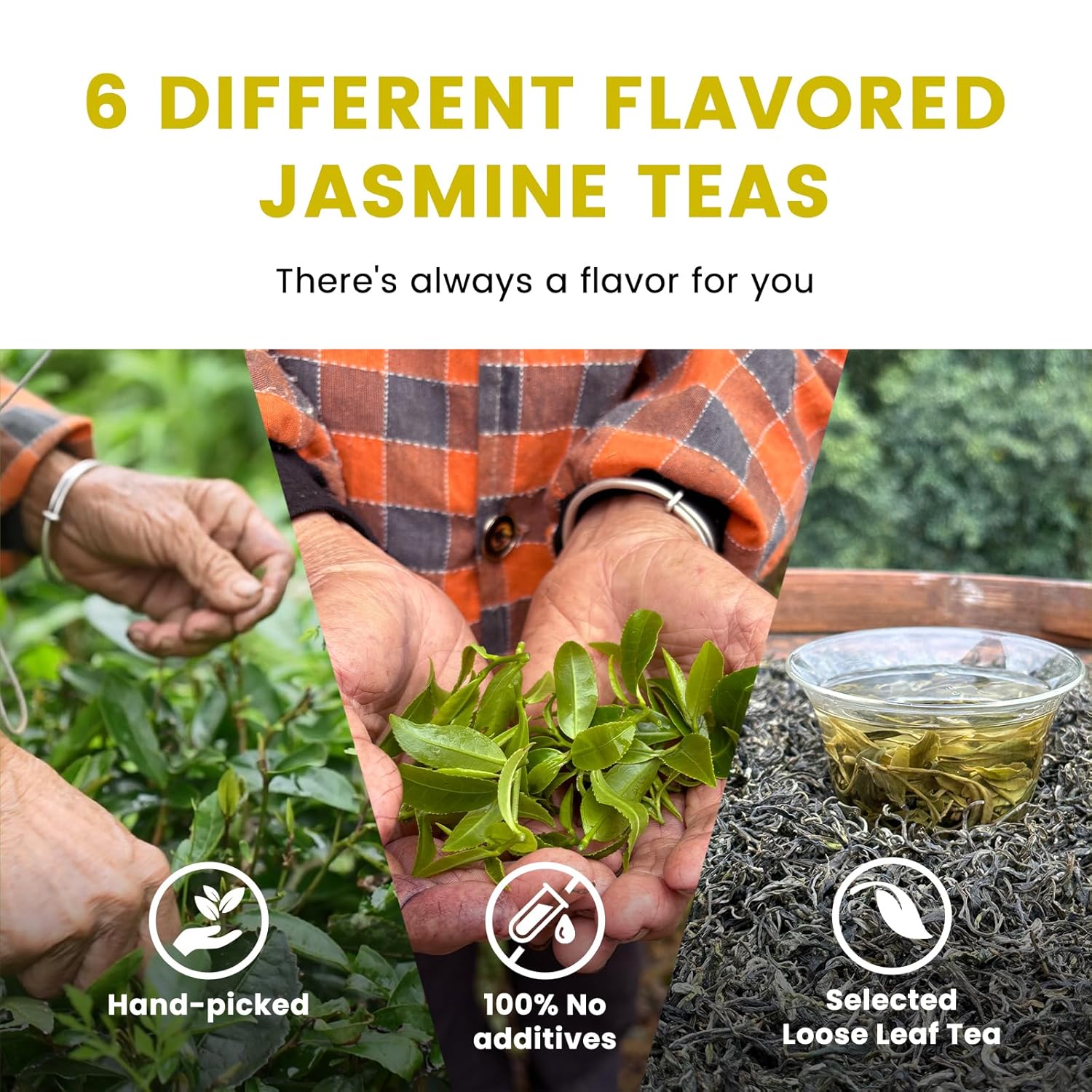 iTeaworld 6 Different Jasmine Tea Sampler, Jasmine Loose Leaf Tea(Including Jasmine Green Tea, Jasmine Oolong Tea, Jasmine LiuBao Tea ect.), No Sugar and Additive, Nice Tea Bags Variety Pack Gift Set(3.17oz)