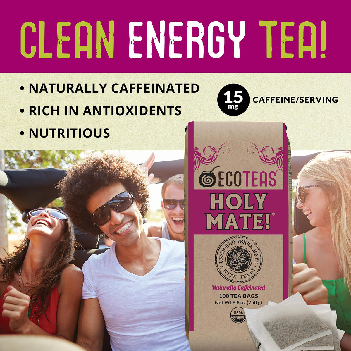 ECOTEAS Holy Mate! Organic Yerba Mate Tea Bags with Tulsi & Mint 100 Count