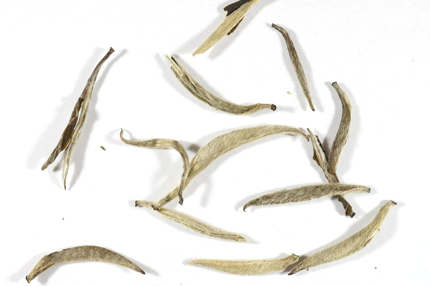 Beantown Tea & Spices - Top Grade Bai Hao YinZhen Silver Needle White Tea Premium Gourmet Loose Leaf Tea. (4 Ounces)