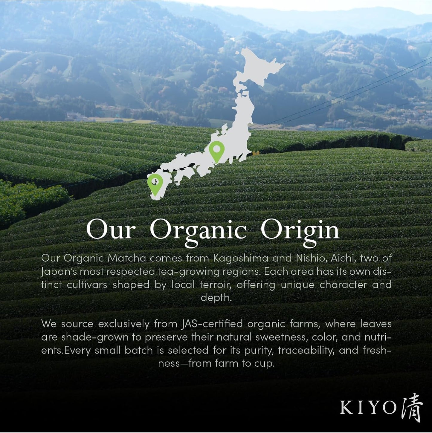 Kiyo Matcha Organic Classic Grade Chiba No Shiro Matcha - Pure Japanese First Harvest Organic Ceremonial Grade Matcha Green Tea Powder from Kagoshima, Japan (40g/1.41oz)