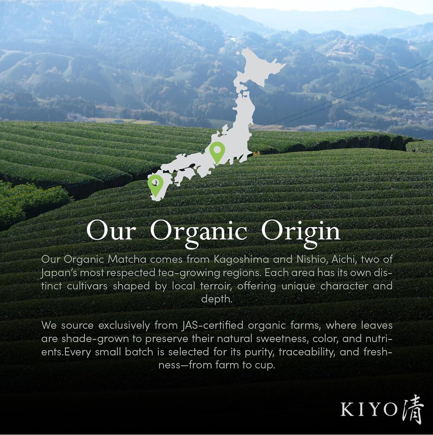 Kiyo Matcha Organic Classic Grade Chiba No Shiro Matcha - Pure Japanese First Harvest Organic Ceremonial Grade Matcha Green Tea Powder from Kagoshima, Japan (40g/1.41oz)