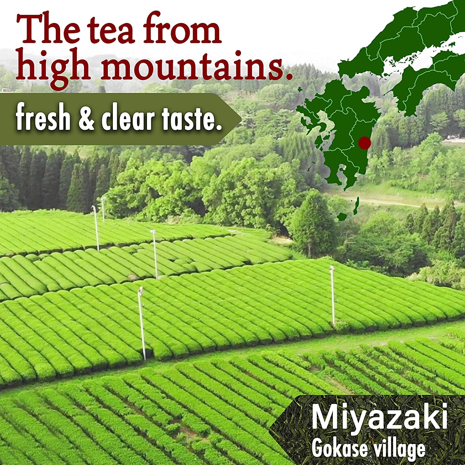 Japanese Organic Black Tea Loose Leaf, 100% made in Japan, 100g tea leaves【YAMASAN】