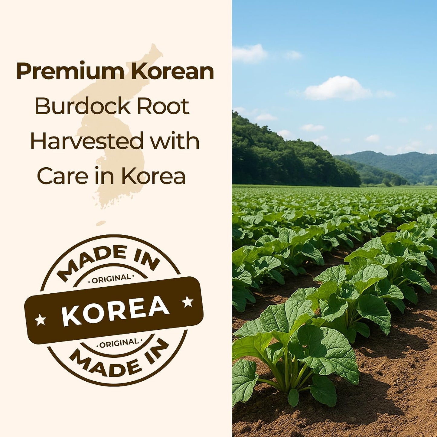 TERRAPICK Roasted Korean Burdock Root Tea 120g, Caffeine-Free Herbal Tea | Roasted Korean burdock root · Caffeine-free · Antioxidants &amp; minerals · Supports digestion &amp; gut · burdock tea