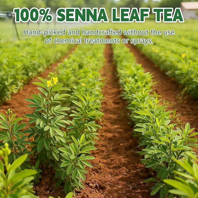 Organic Senna Tea Bags, 50 Teabags, 3g/Bag, Made with 100% Natural Senna Leaves. Helps with Relieve Constipation and Digestion, Caffeine-Free