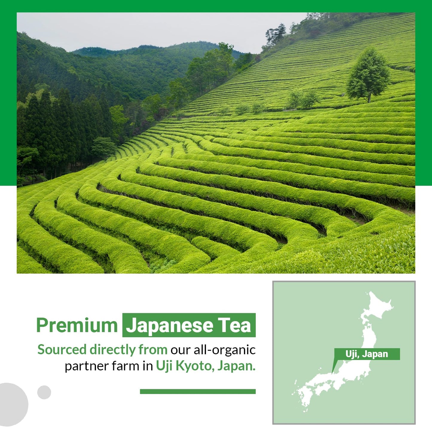 Matcha Moon Spring Zen Superior Ceremonial Grade Matcha Green Tea Powder | Traditional Organic Japanese Matcha Powder from Uji Kyoto | Ideal for Daily Tea Rituals, Lattes & Mindful Wellness - 30g Tin