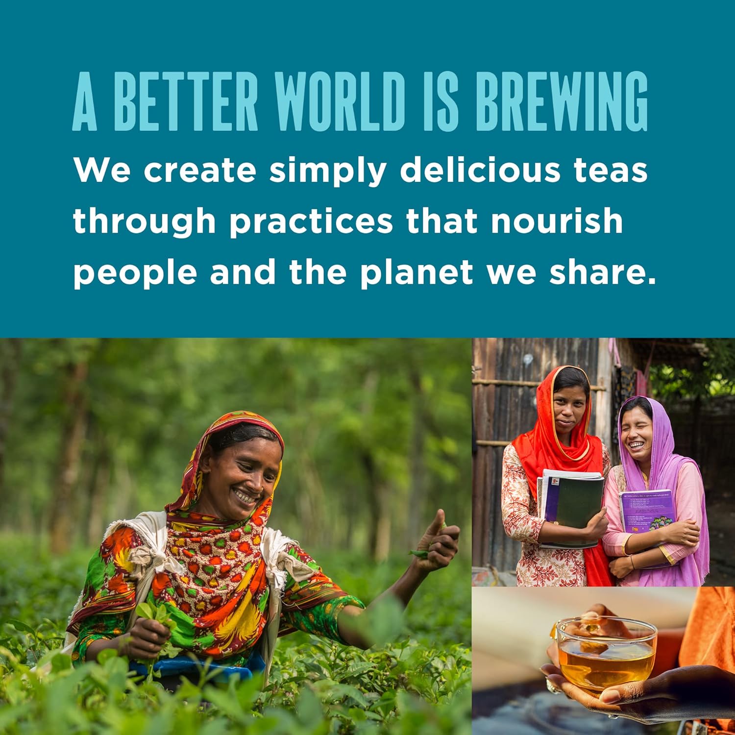Teatulia Organic Black Tea Bags (50 Pyramid Sachet Teabags) 100% Compostable and Sustainably Grown In Bangladesh. Pure Black Tea Strong English Breakfast