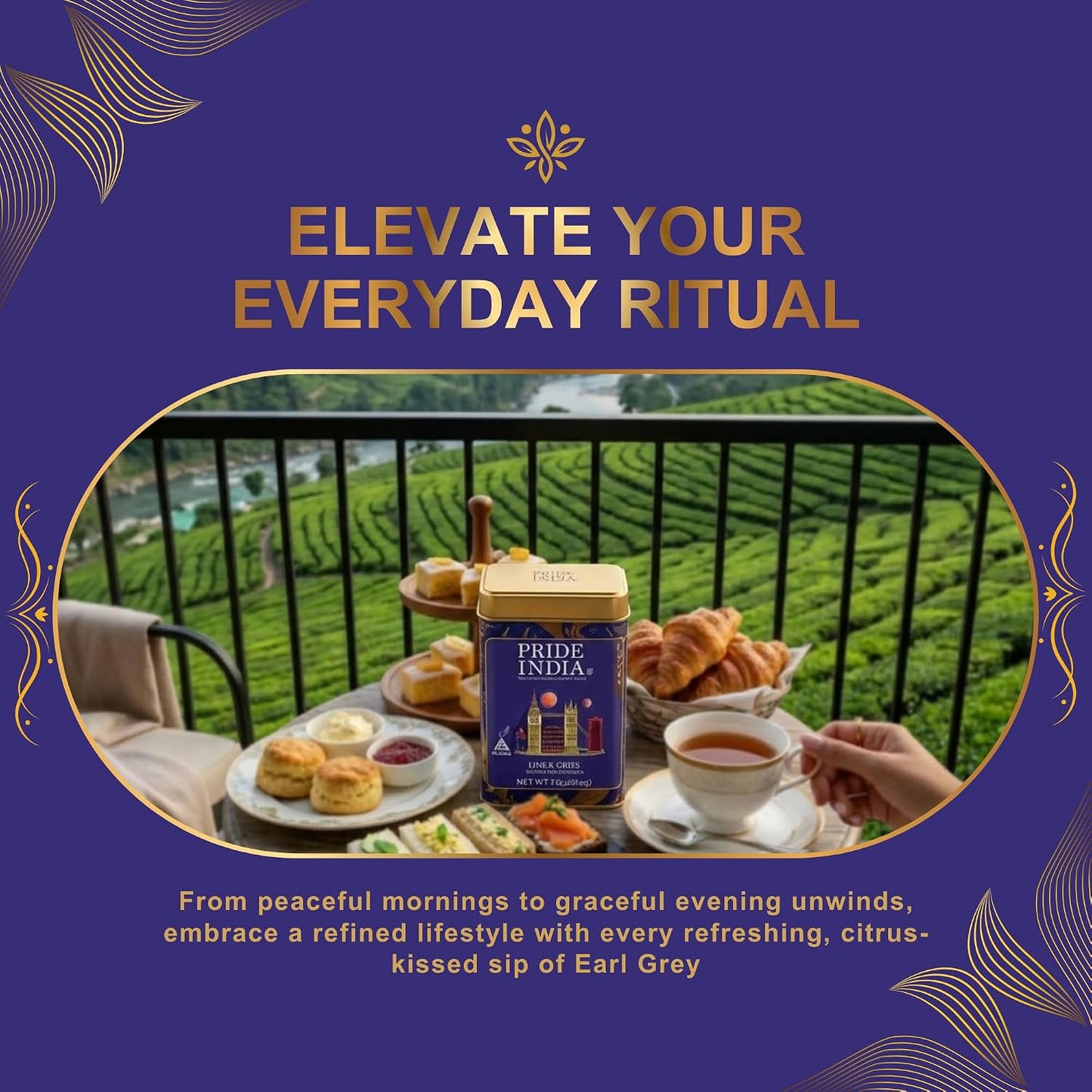 Pride of India Earl Grey Bergamot Black Tea - 30 Pyramid Tea Bags (2 PACK) | Individually Wrapped Full Leaf Assam Tea with Natural Bergamot Extract | Smooth Citrusy Malty Brew, Medium Caffeine