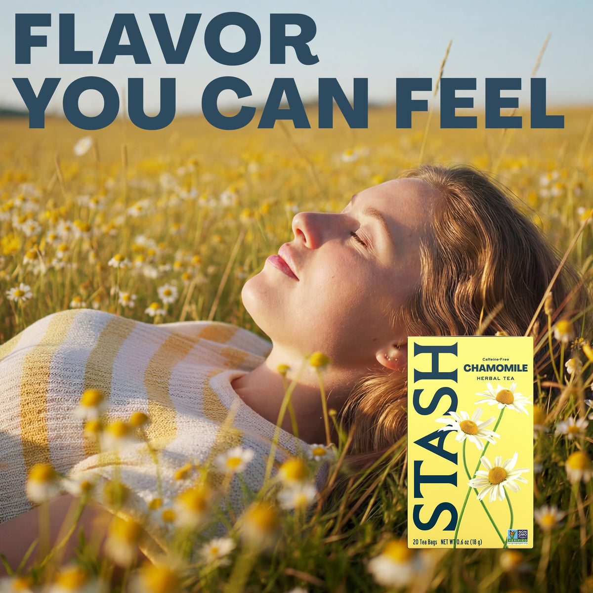 STASH Chamomile Herbal Tea, 100 Bags Bulk Pack, Caffeine Free