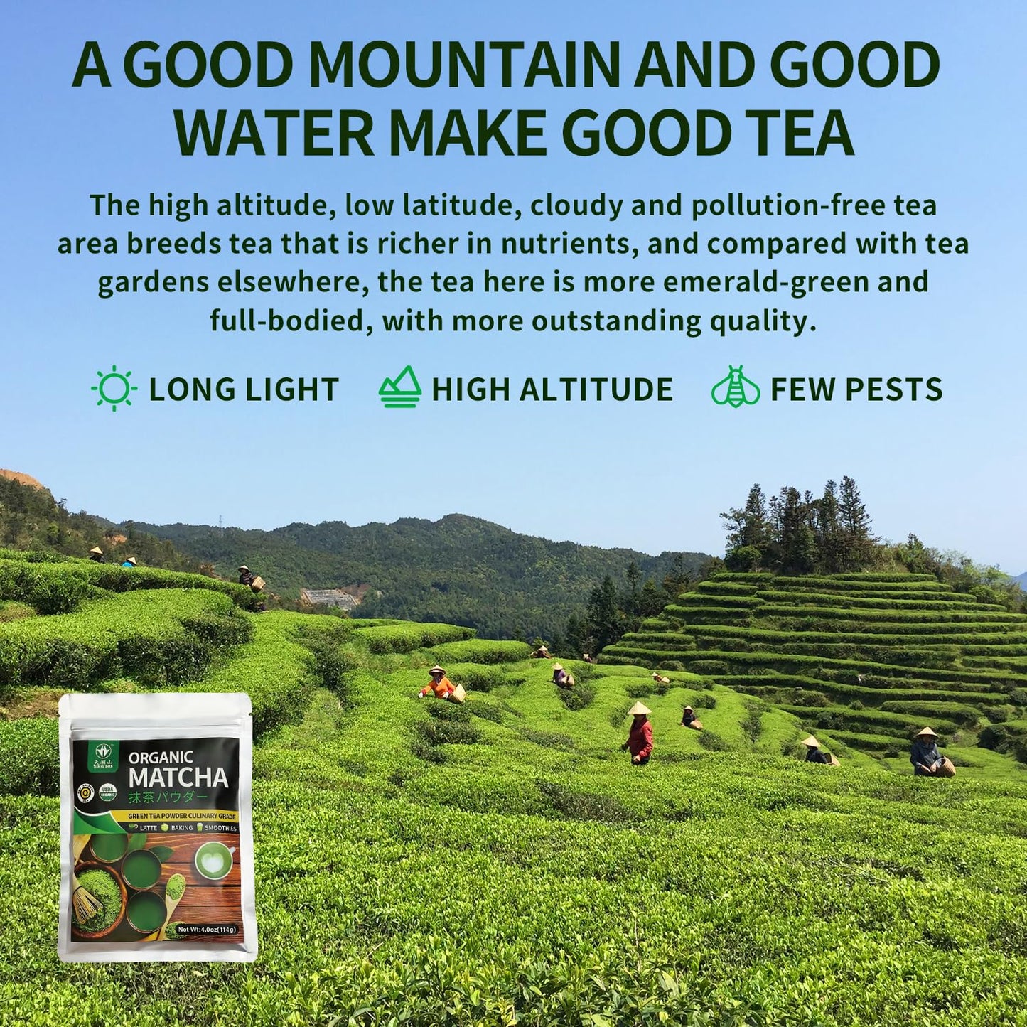 TIAN HU SHAN Organic Matcha Green Tea Powder 4oz for Latte Baking | Organic Matcha Powder