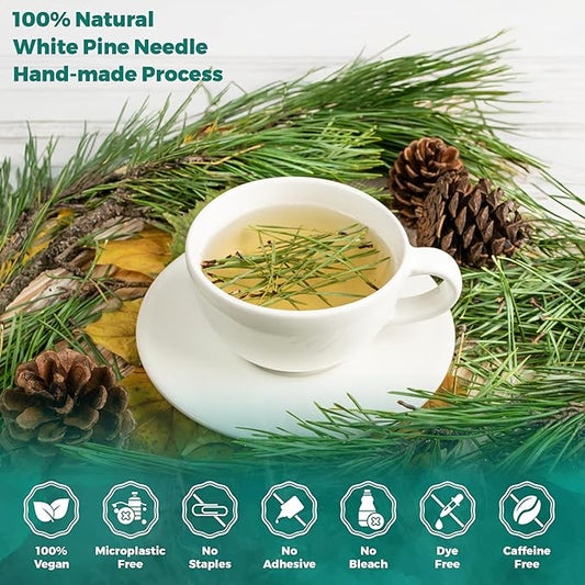 USA Fresh White Pine Needle Tea – 100% Pure Wild-Harvested USA Pine Needles, Fresh Aromatic Herbal Tea, No Additives, Premium Loose Leaf, Natural Forest Flavor (16oz)